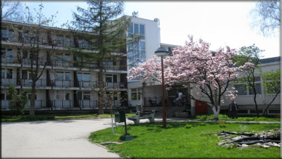 Slika